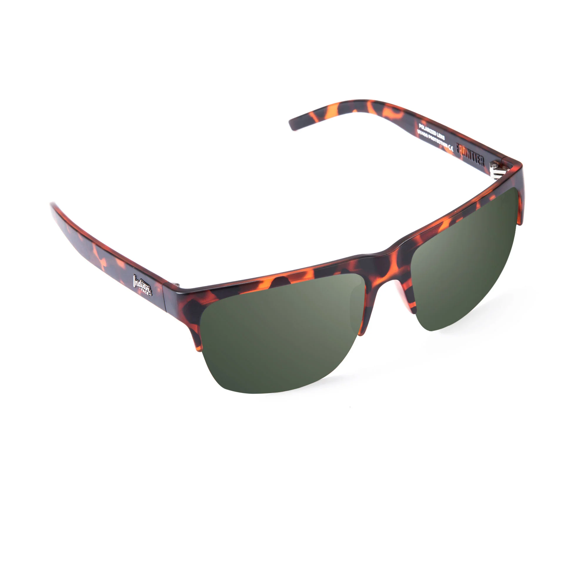 Frontier Tortoise / Green - Image 3