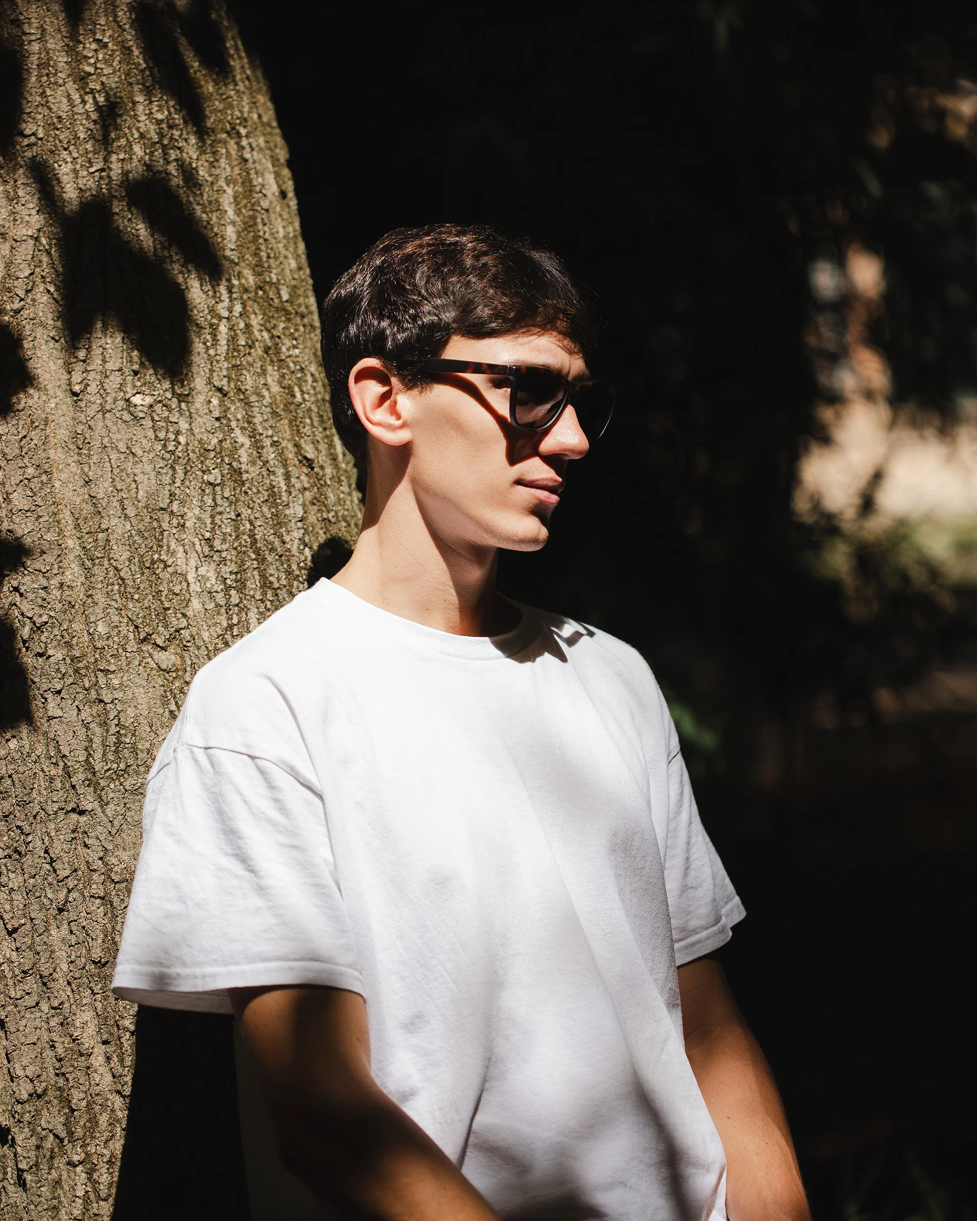 Sunsetter Tortoise / Black - Image 6