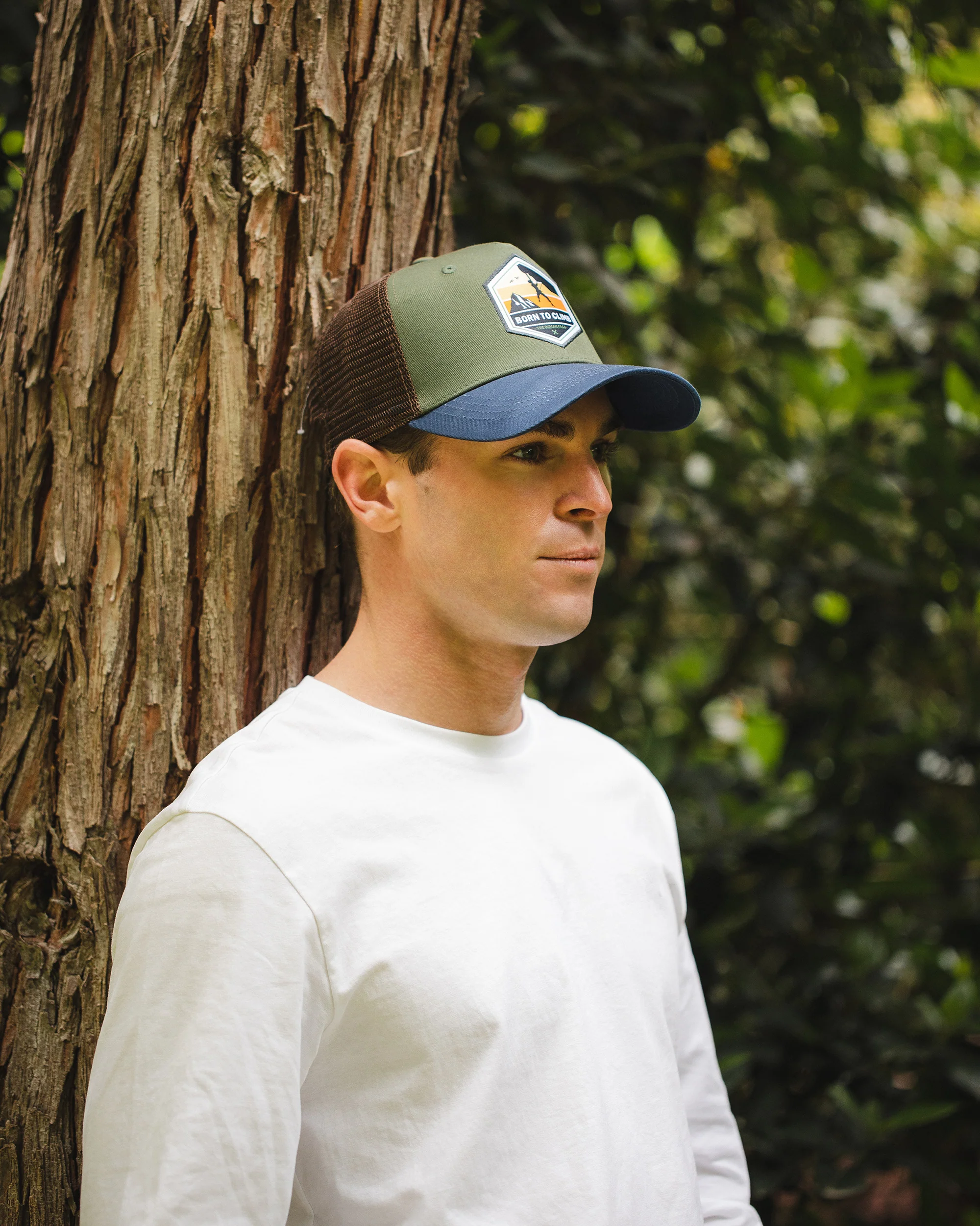 Born to Climb Green / Brown / Blue - Image 5