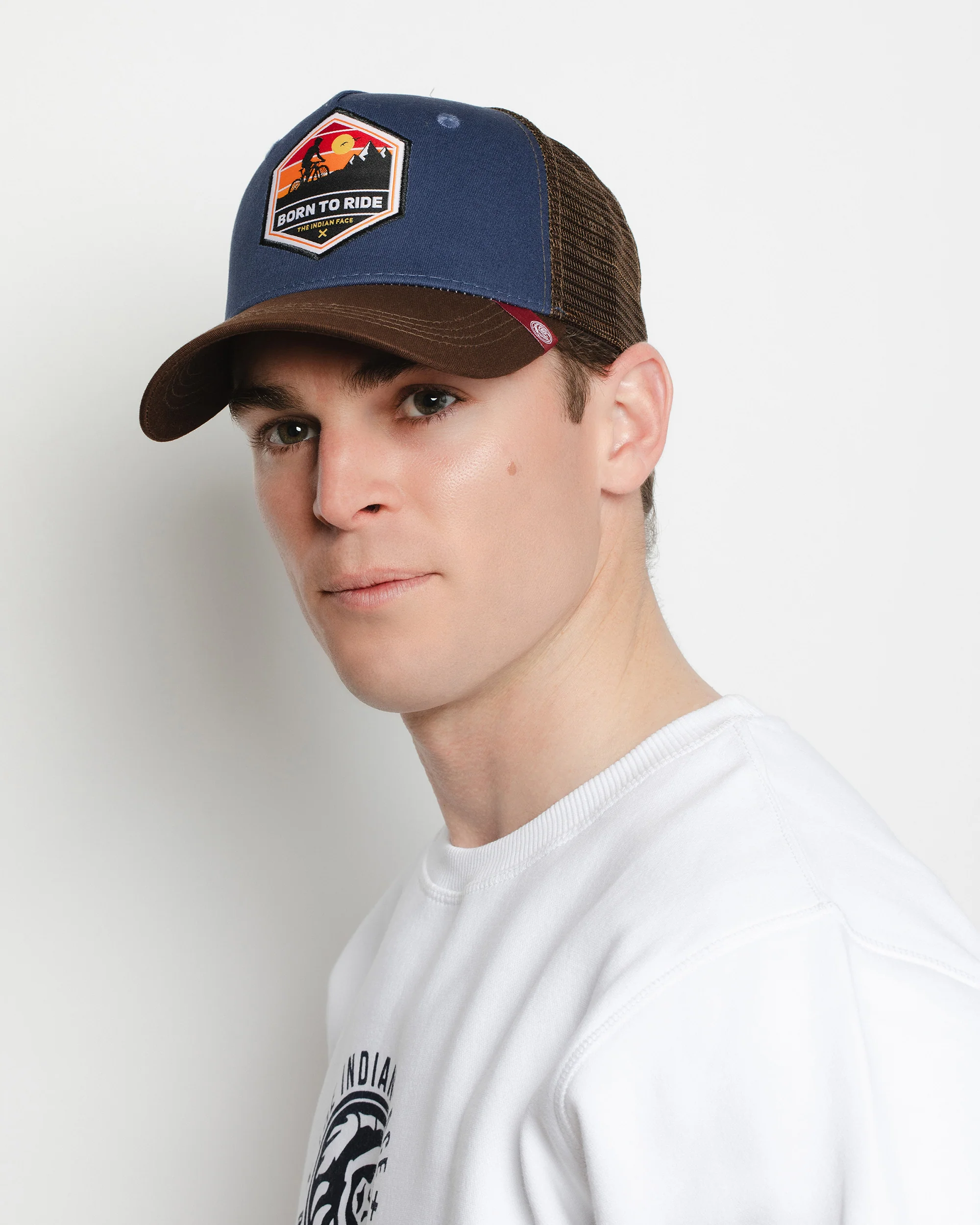 Born to Ride Blue / Brown - Image 14