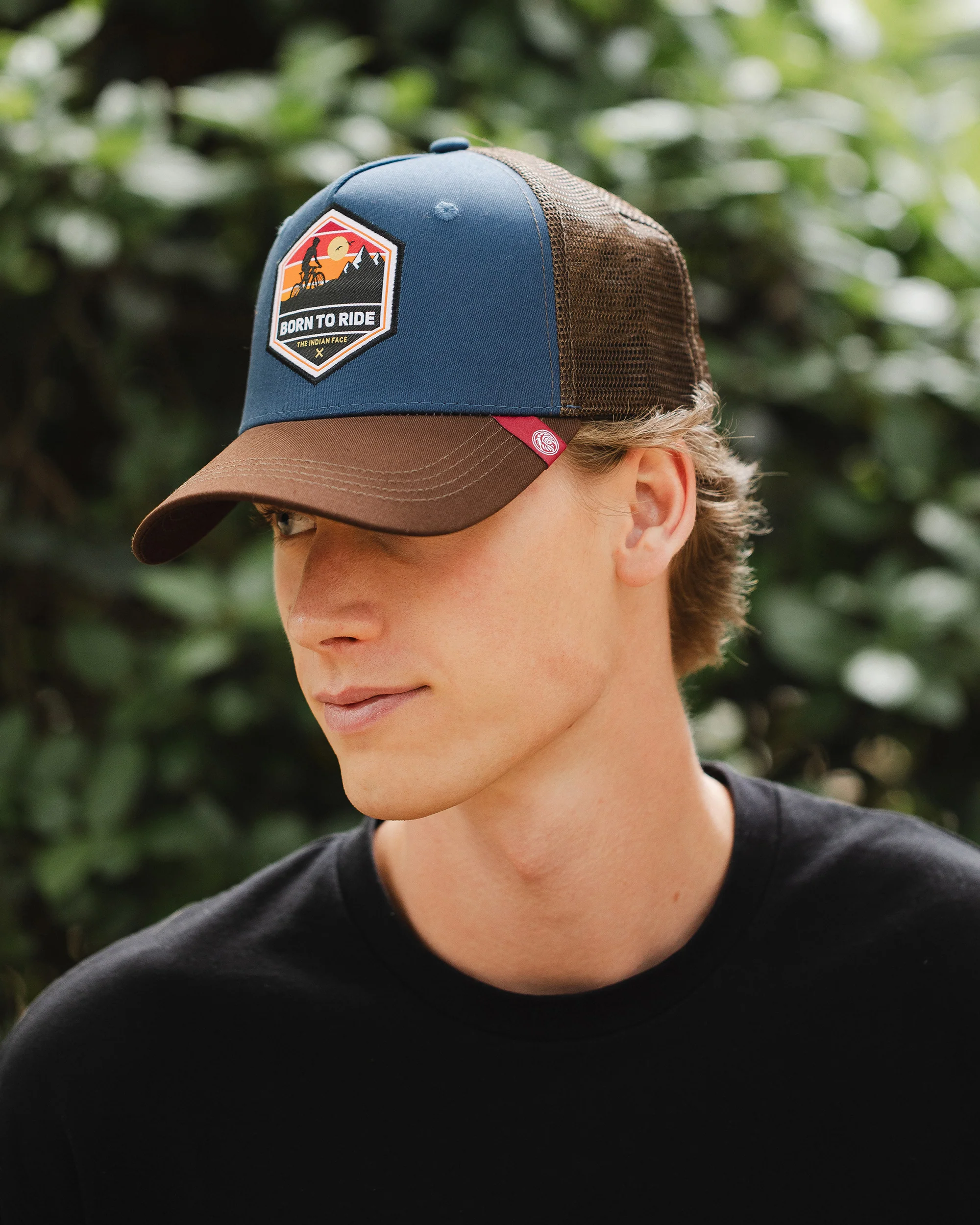 Born to Ride Blue / Brown - Image 17