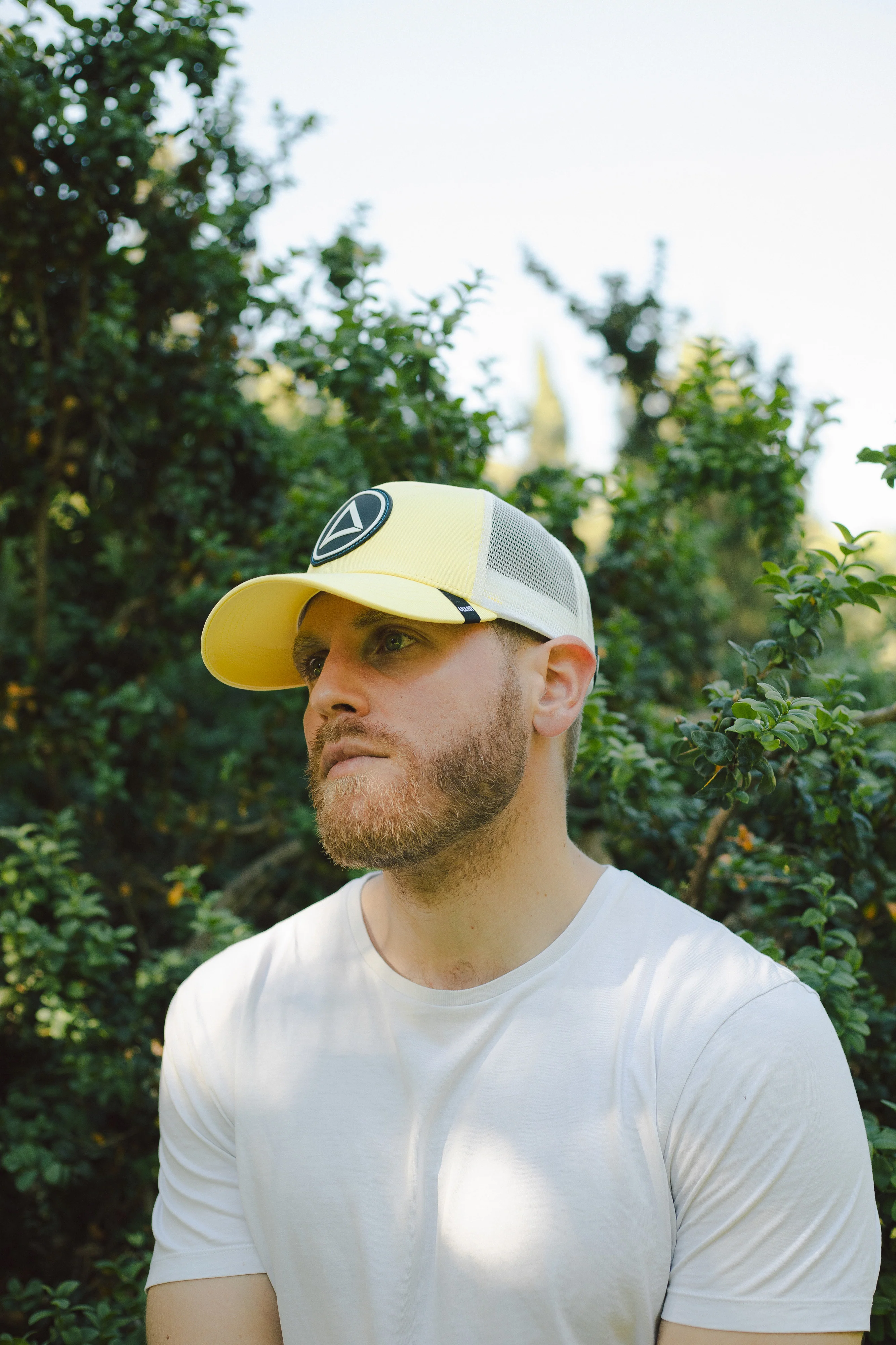 Northern Yellow / White - Image 6