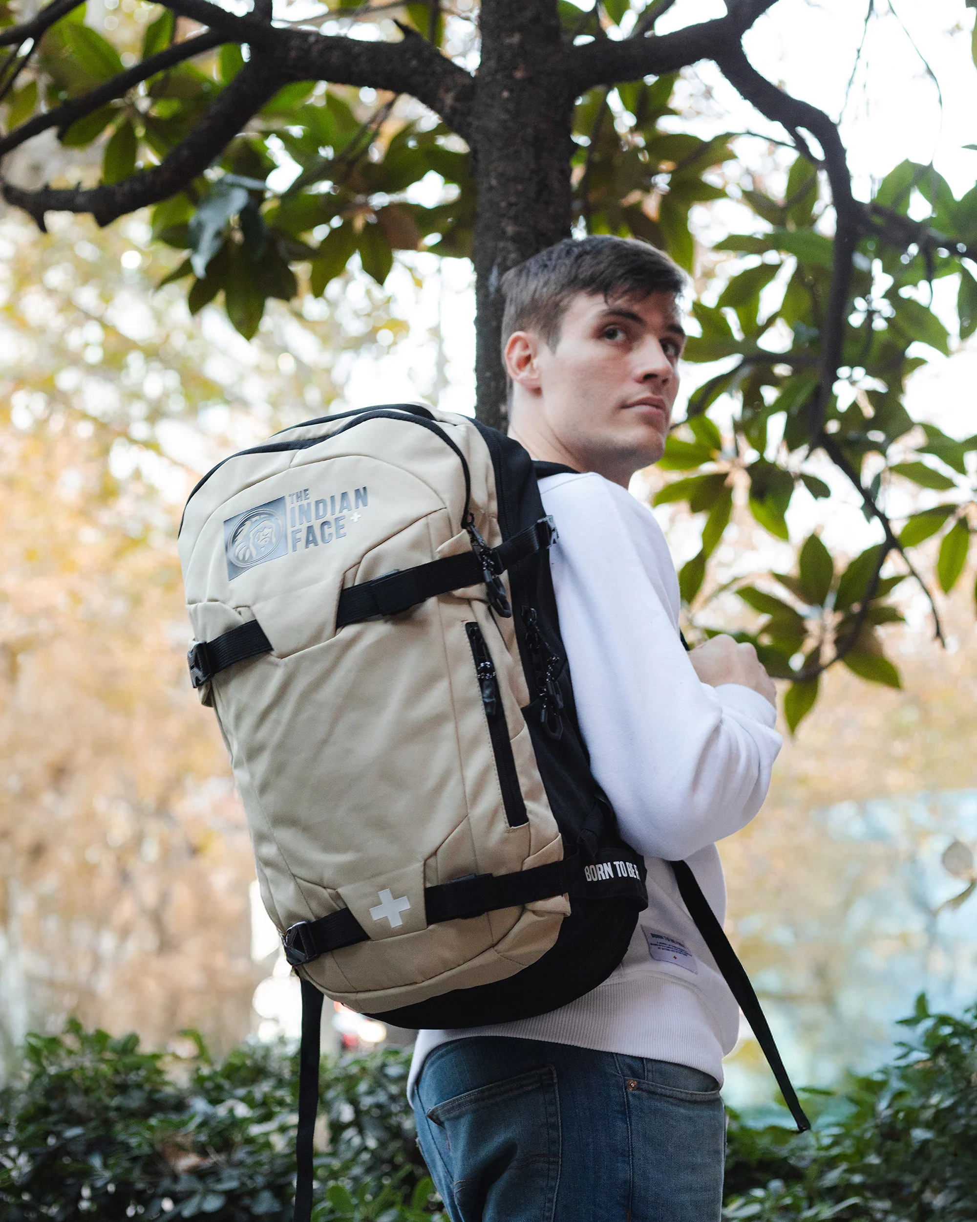 Atlas Beige - Image 8
