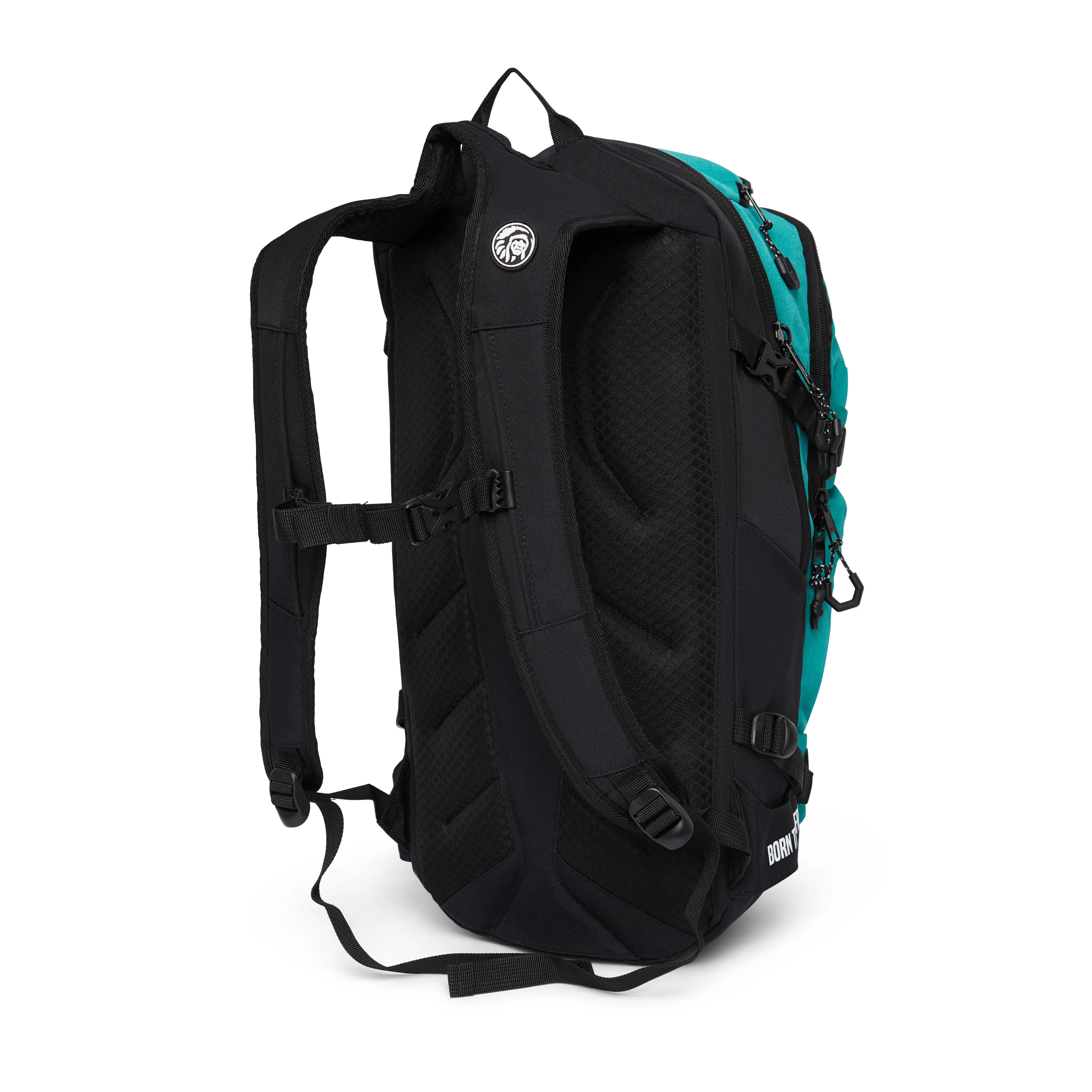 Atlas Green - Image 4