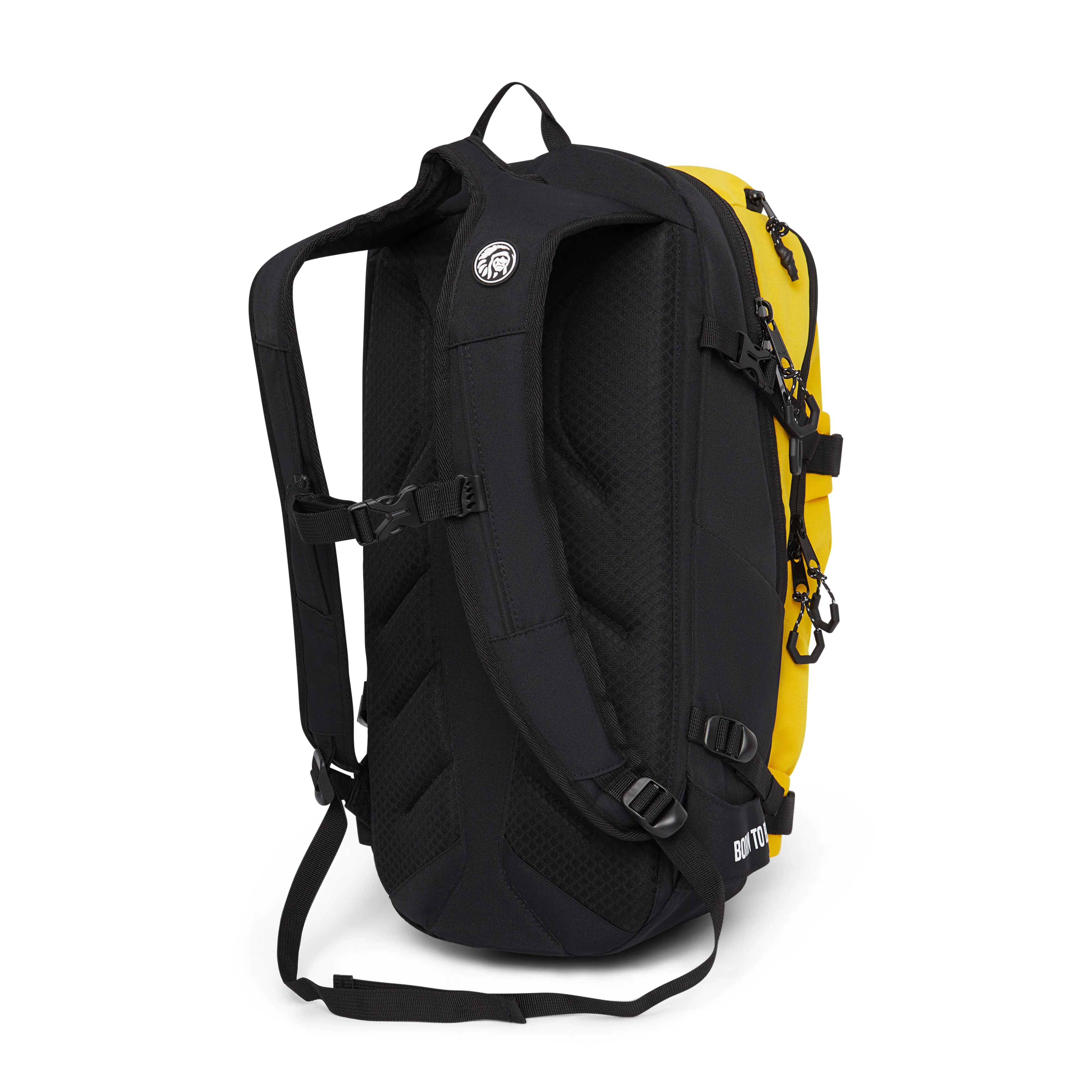 Atlas Yellow - Image 4