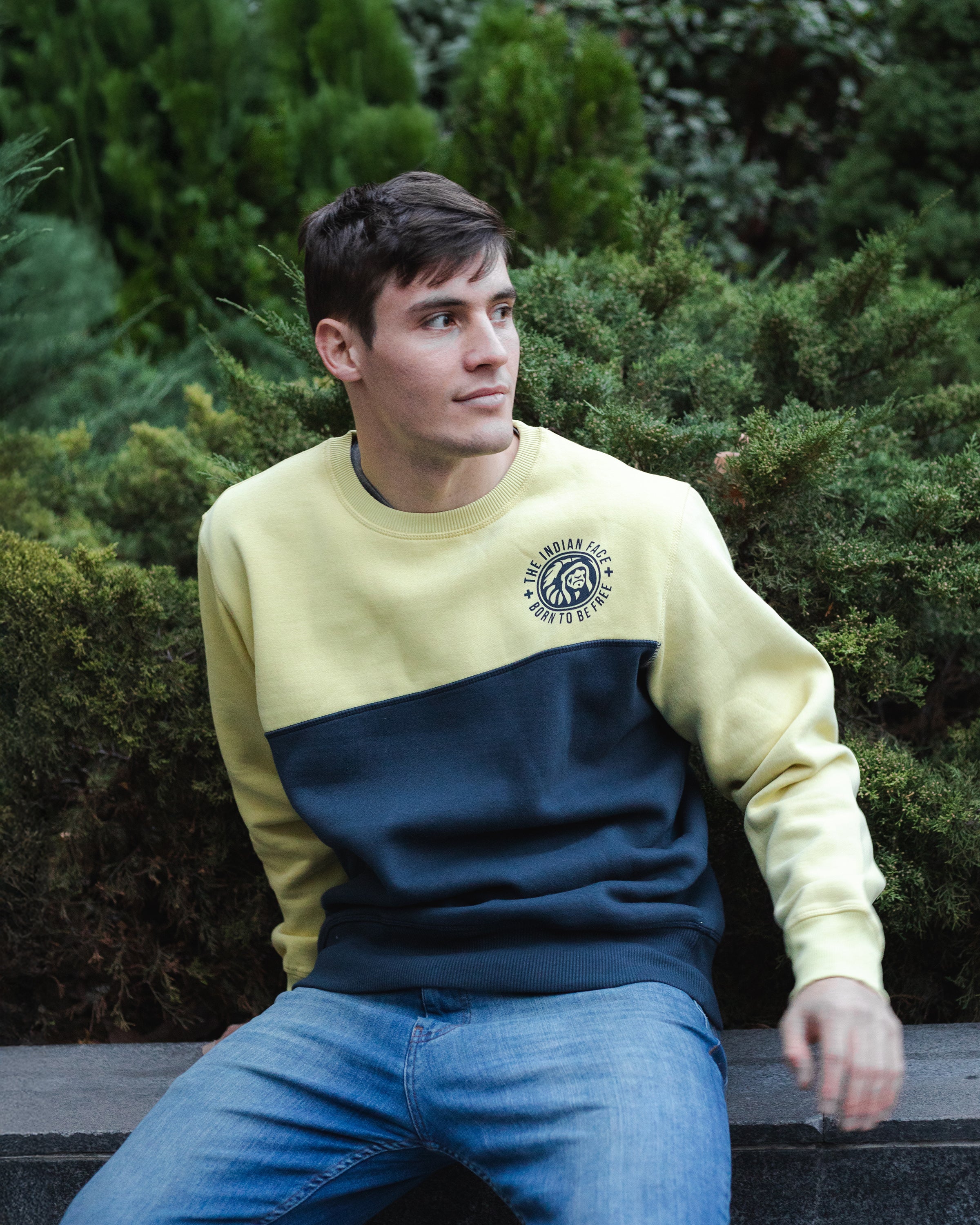 Maverick Yellow / Blue - Image 6