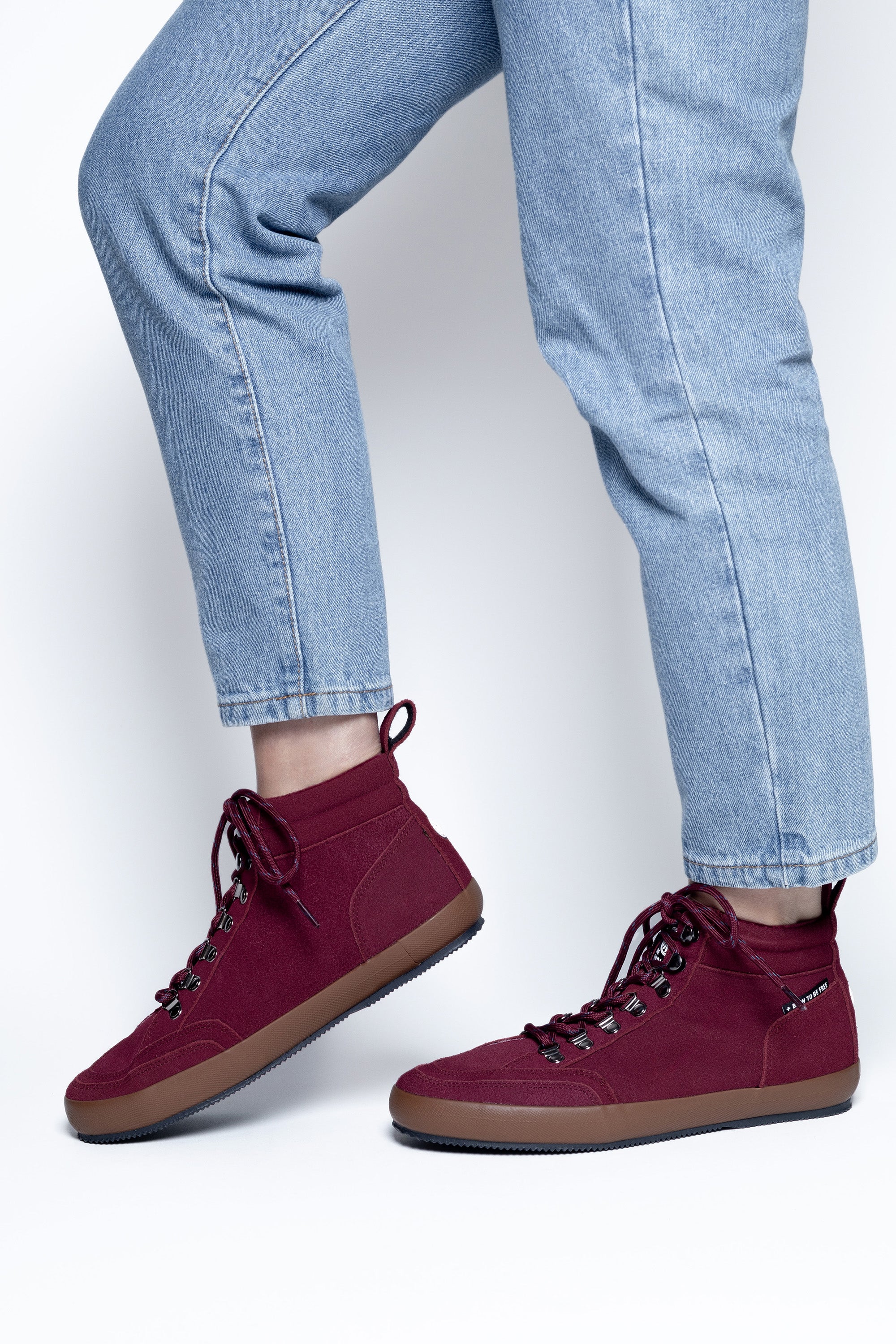 Highland Red - Image 9